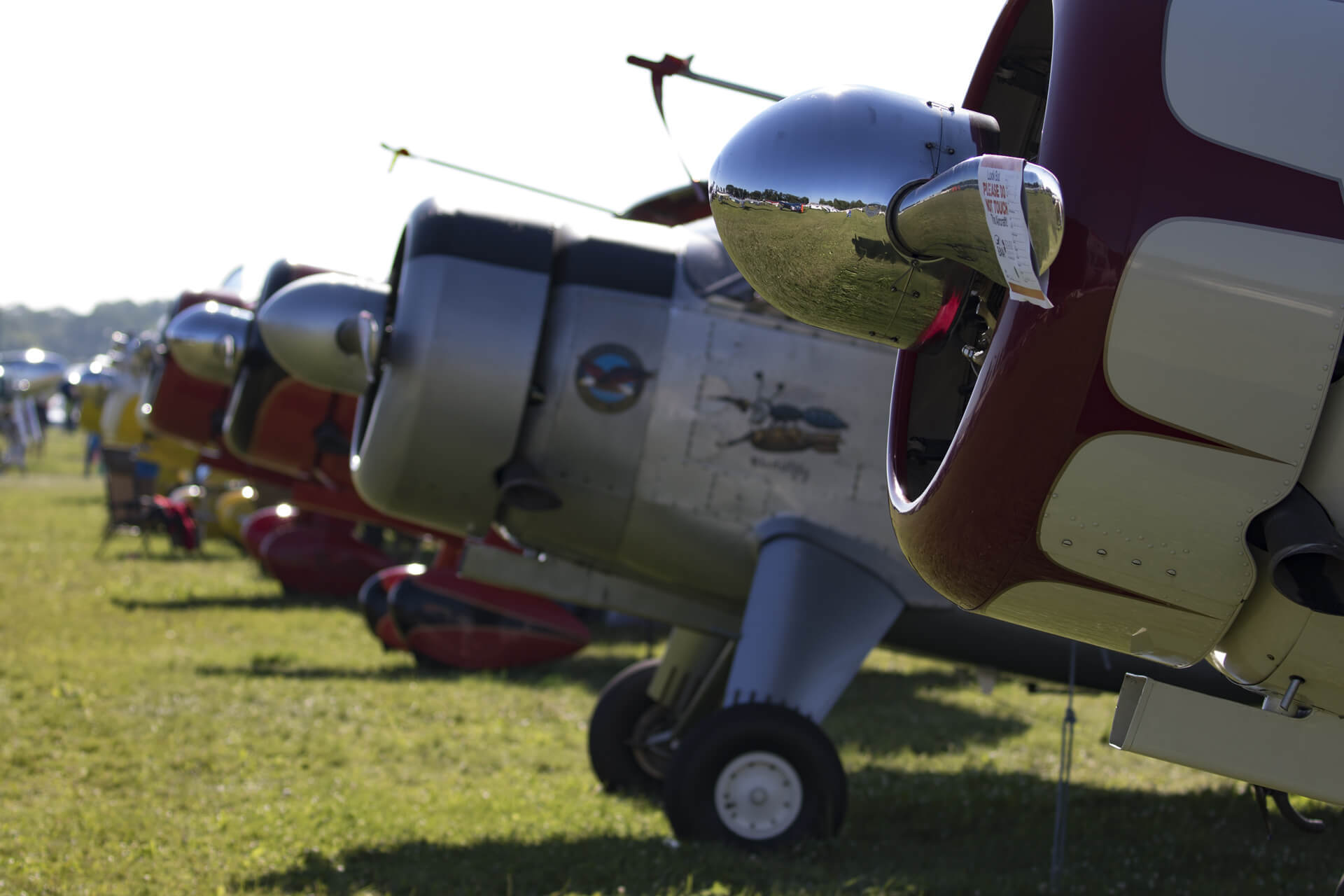 Line of vintage airplanes, including Wacos from the 30s.